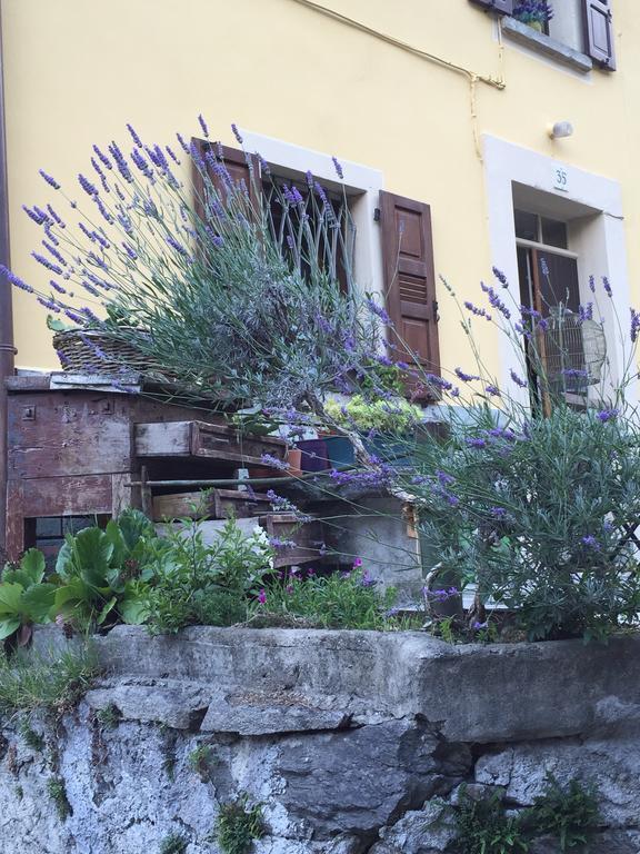 B&B Valle Spluga Il Pertugio Chiavenna Ngoại thất bức ảnh